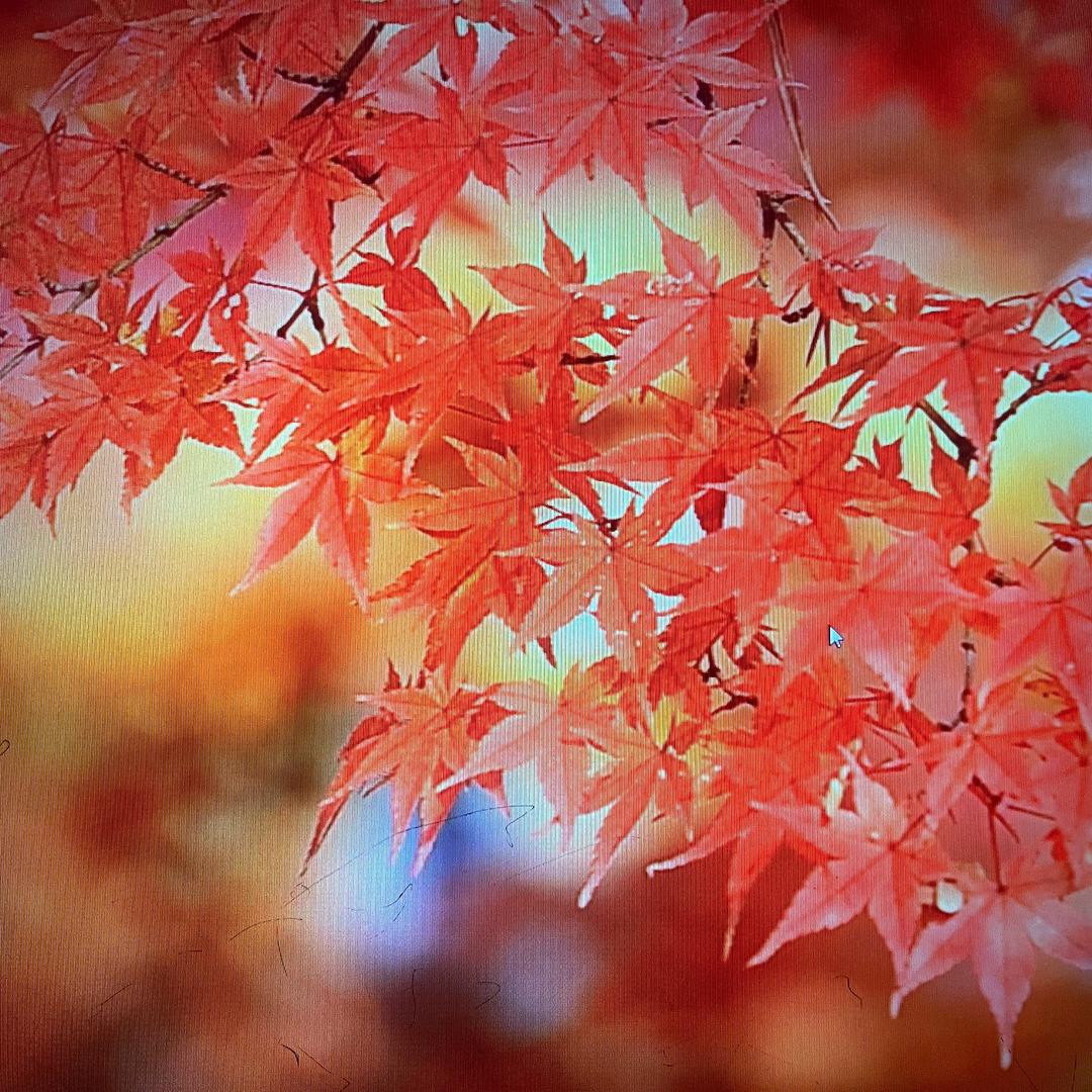 淡看余生