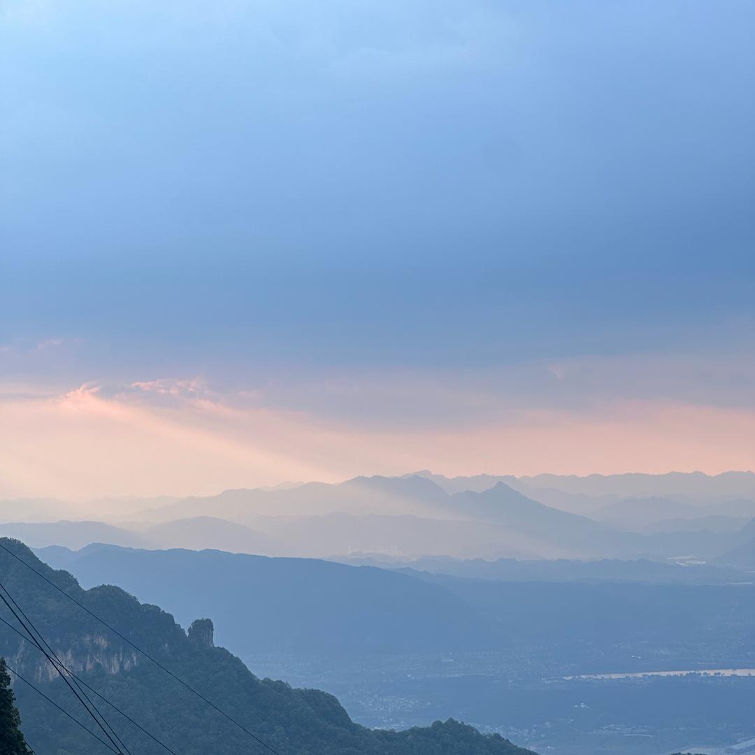 旅行避坑局局长