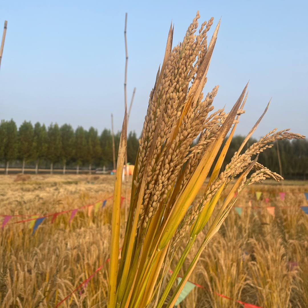 ❤️❤️❤️❤️