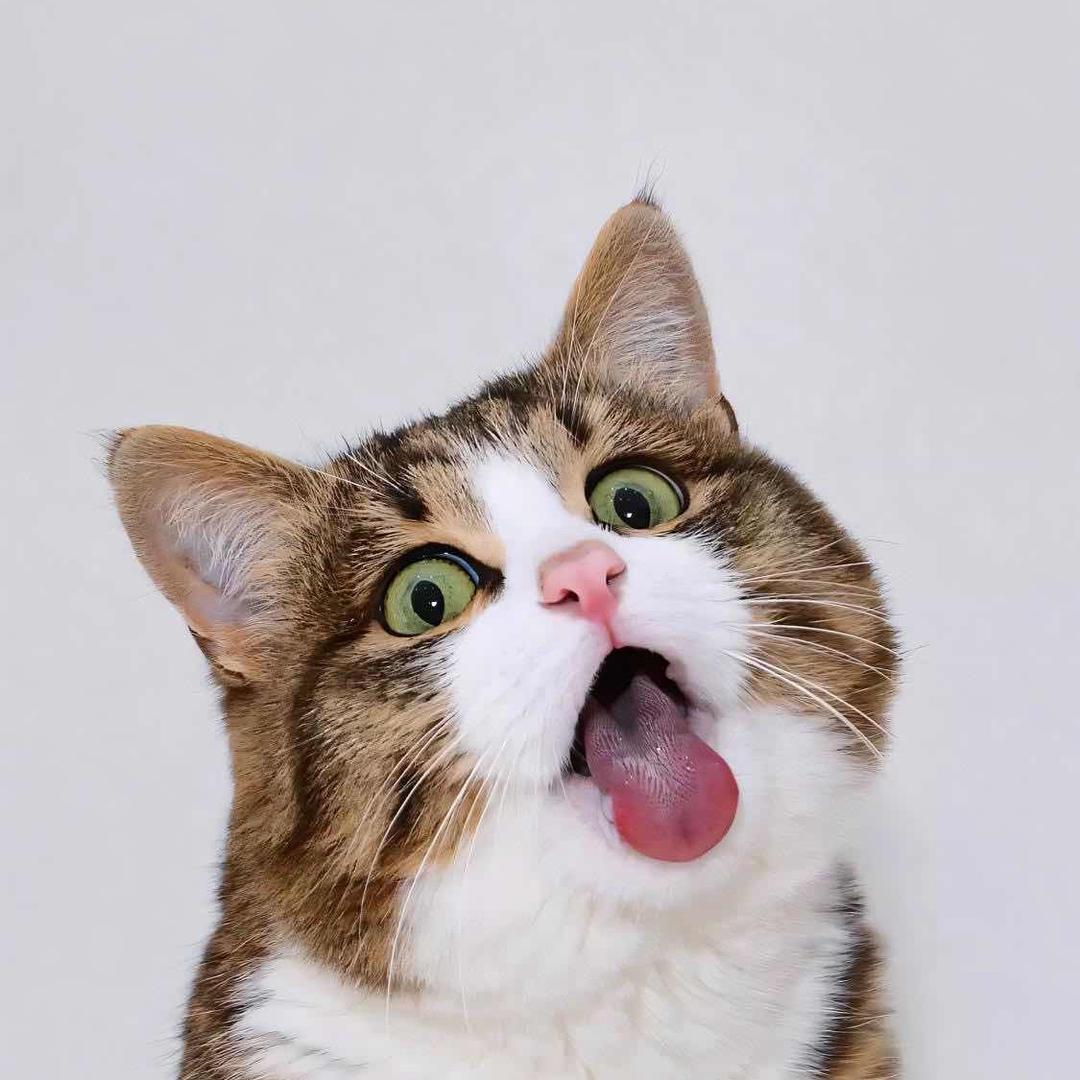 敏