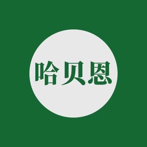 哈贝恩玩具