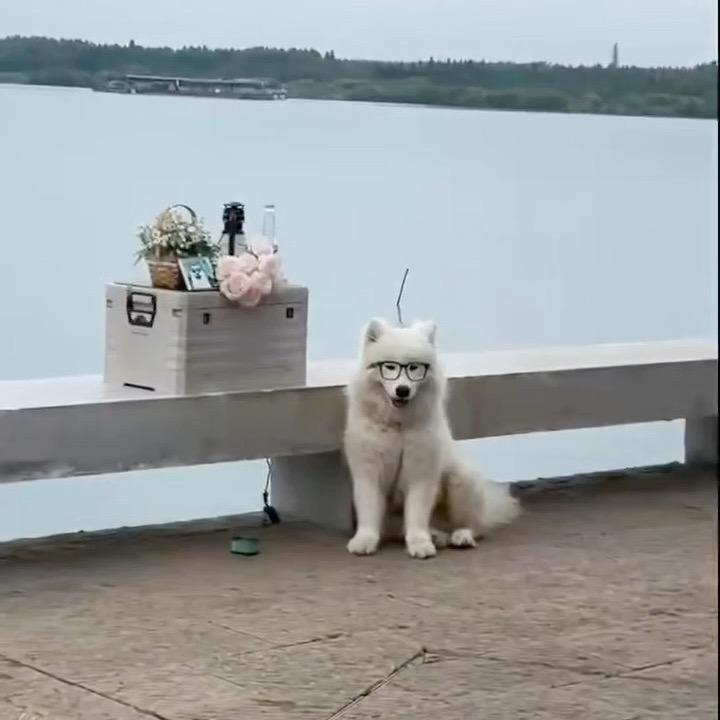 喜欢你眼睛里的星星