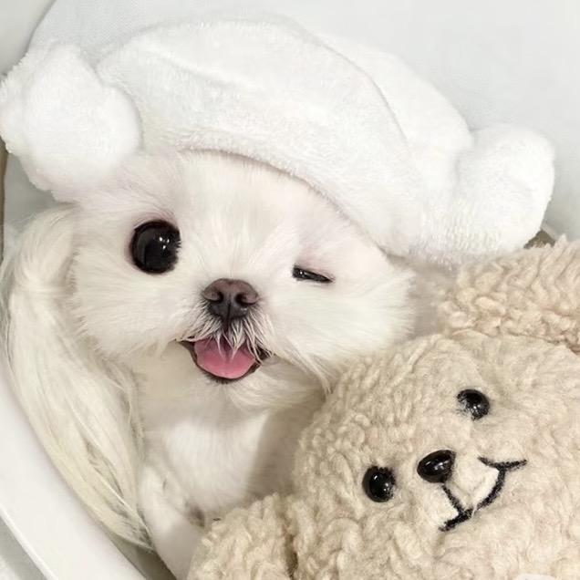 爱财爱己⌯'ᵕ'⌯