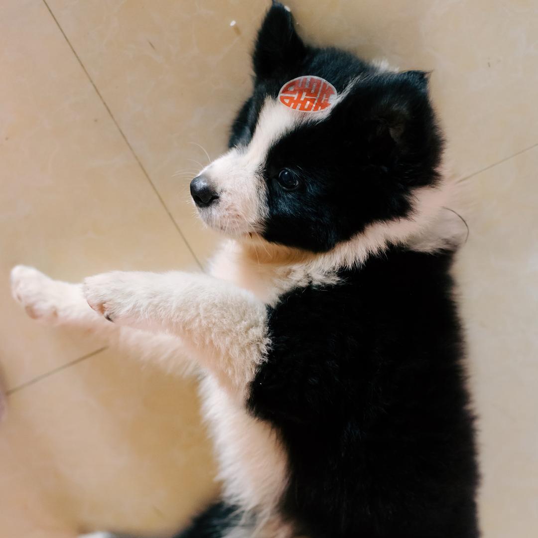 sun.hope.（见过弘石版）