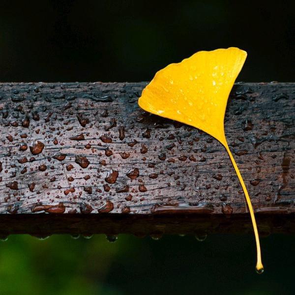 一切随心（健康管理）