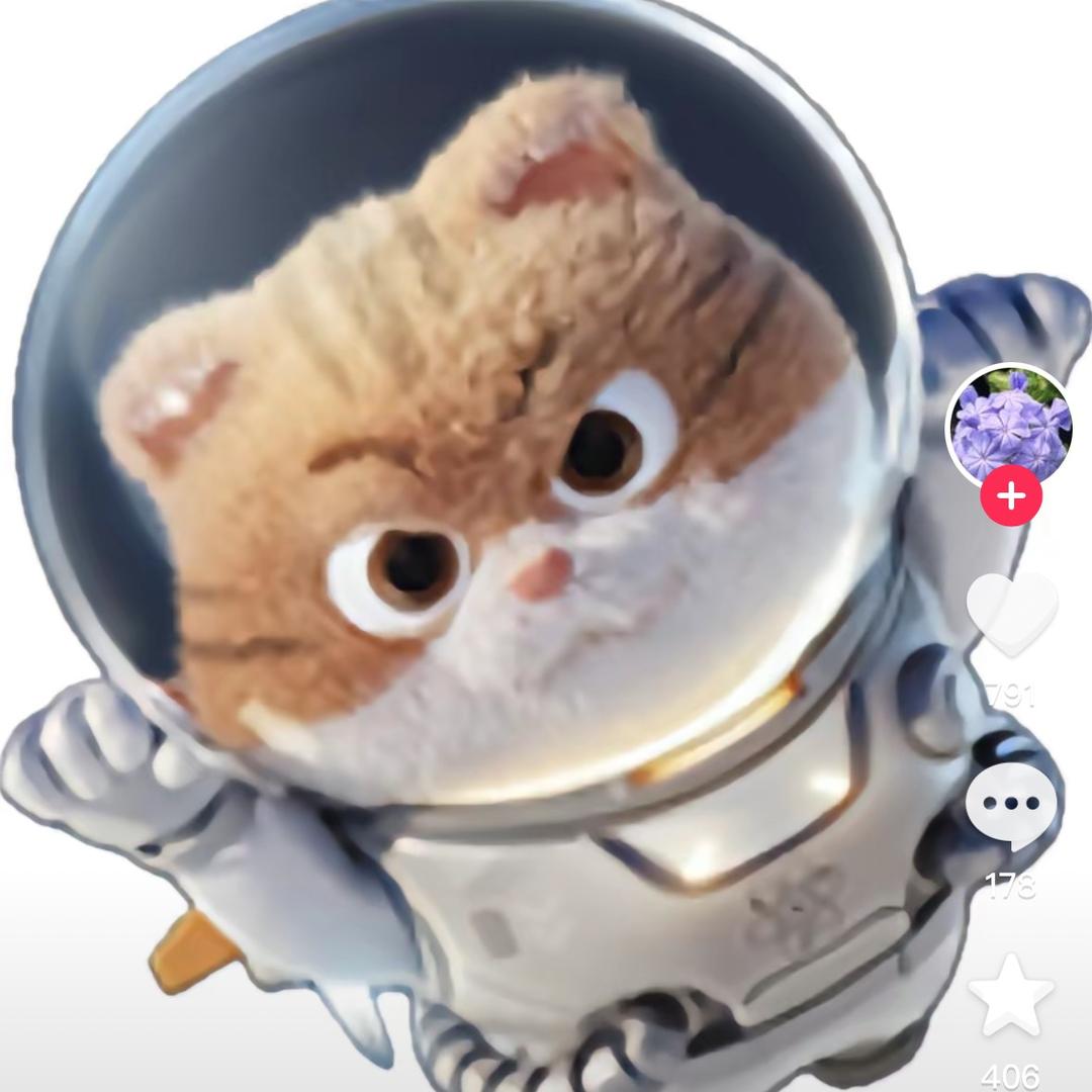 上海石化小雷子（作者雪白馒头）