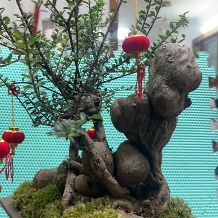 小鲁班