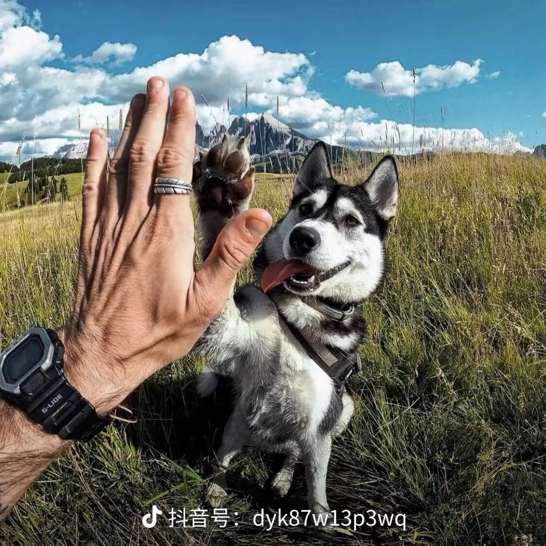 破产兄弟鲜肉烧烤(南站店)