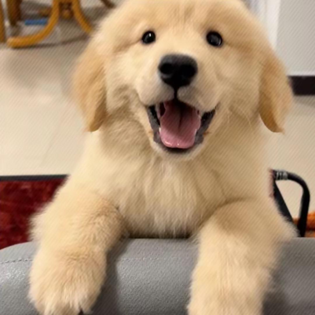 好运先生（国服钟无艳）