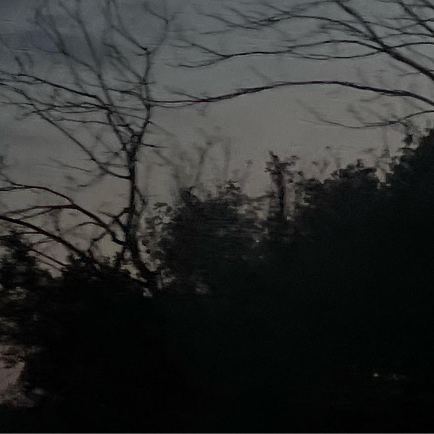 空识归年