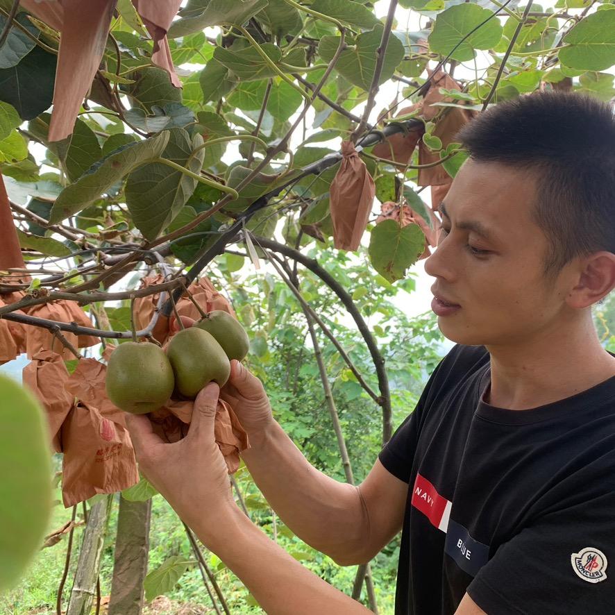 美汇阳光