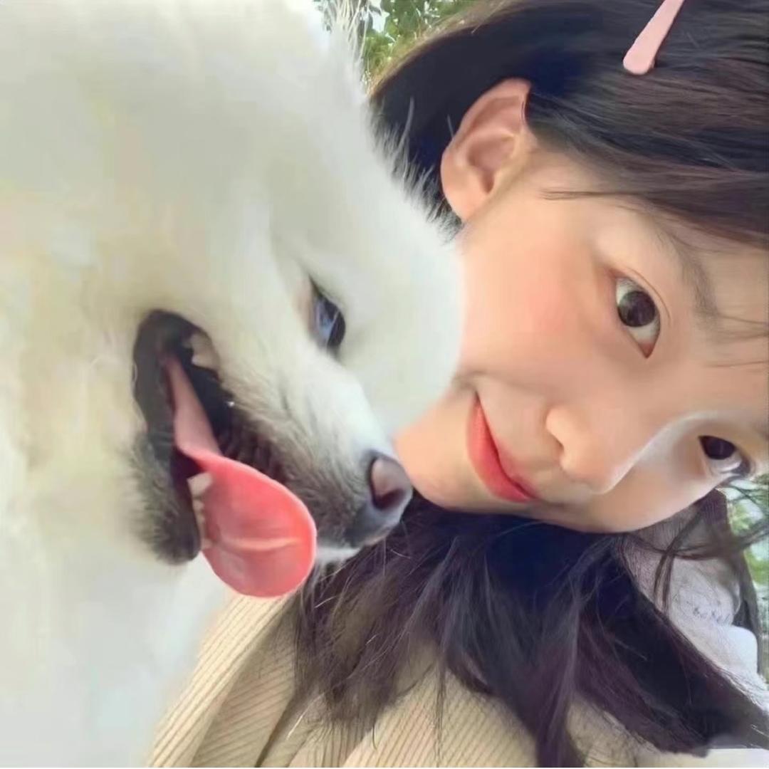 小羊贴贴