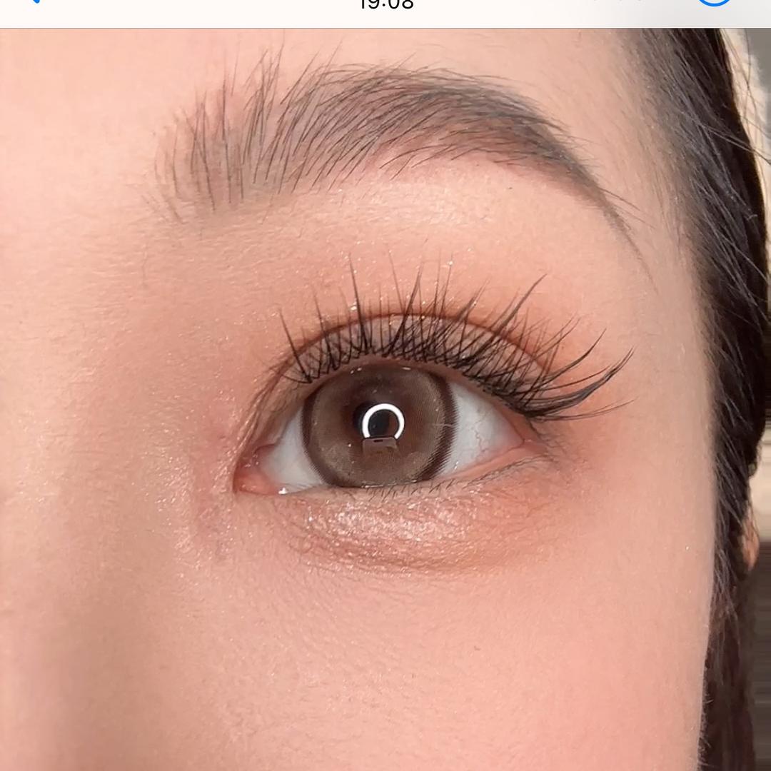 一枝黛黛