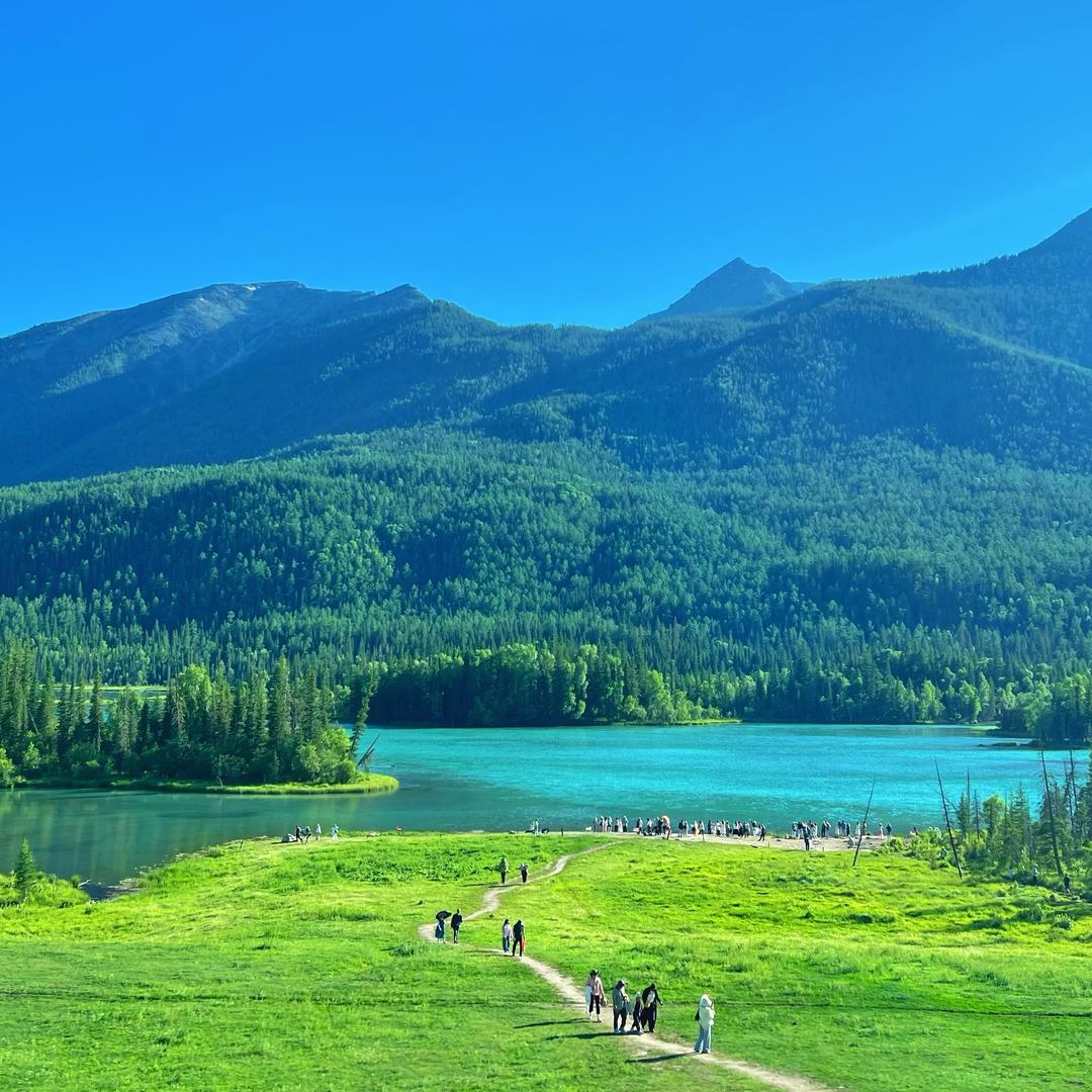 桃花树下千里姻缘一线牵