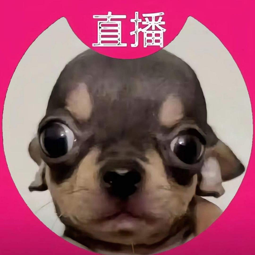真的喜欢再来烦我