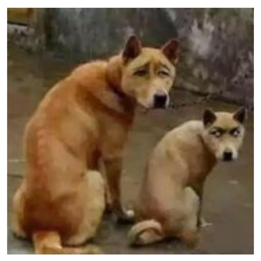 划痕的世界
