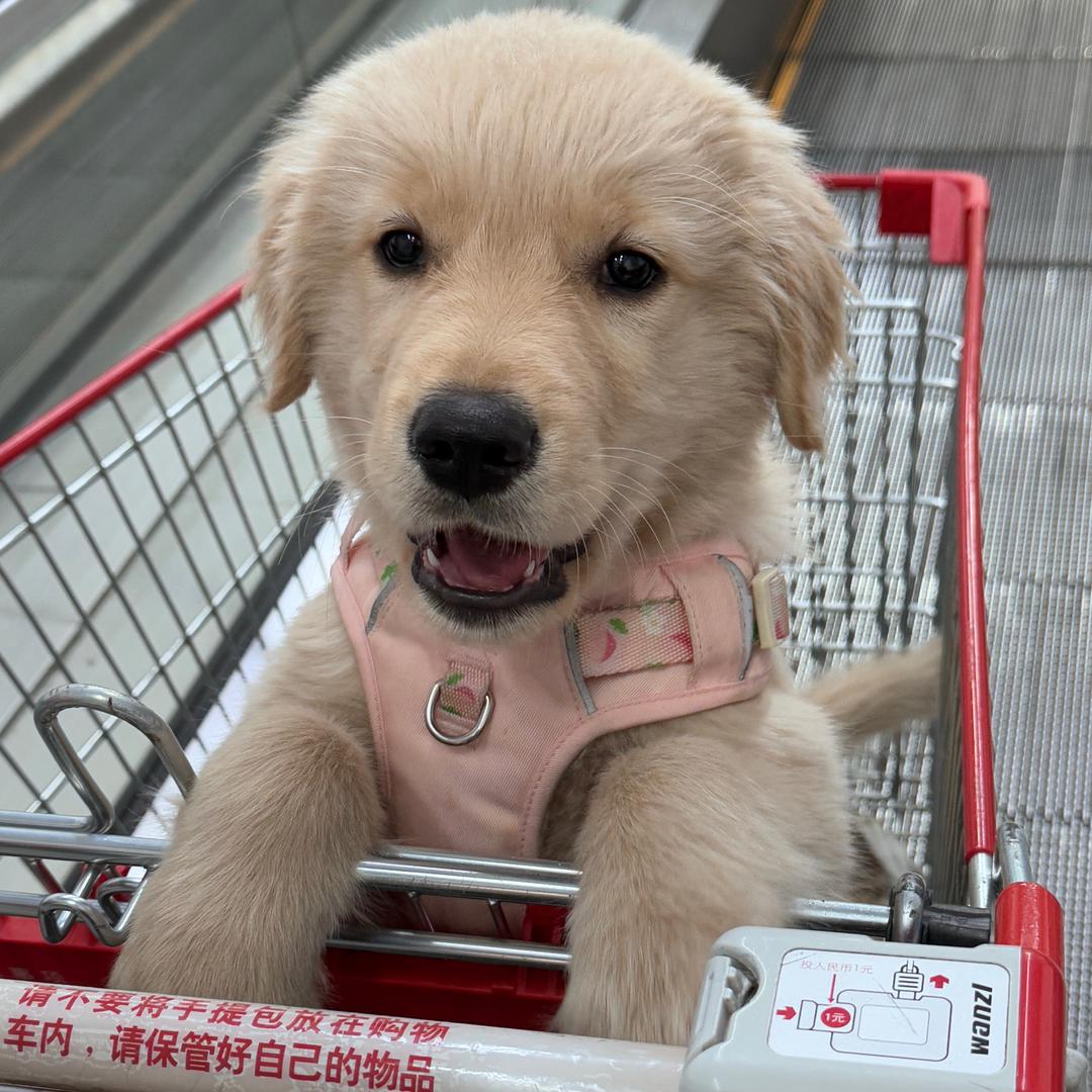 别偷看我