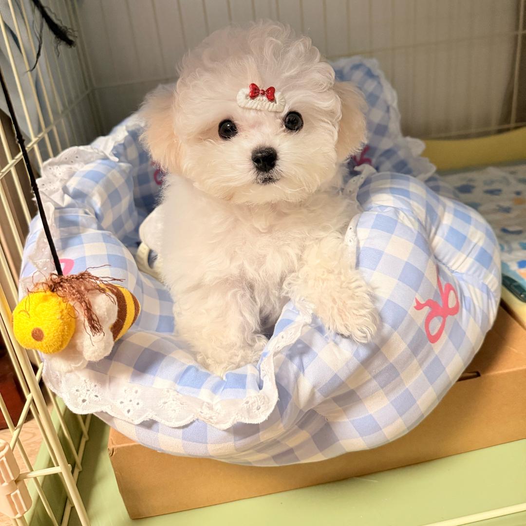 黝黝不听话