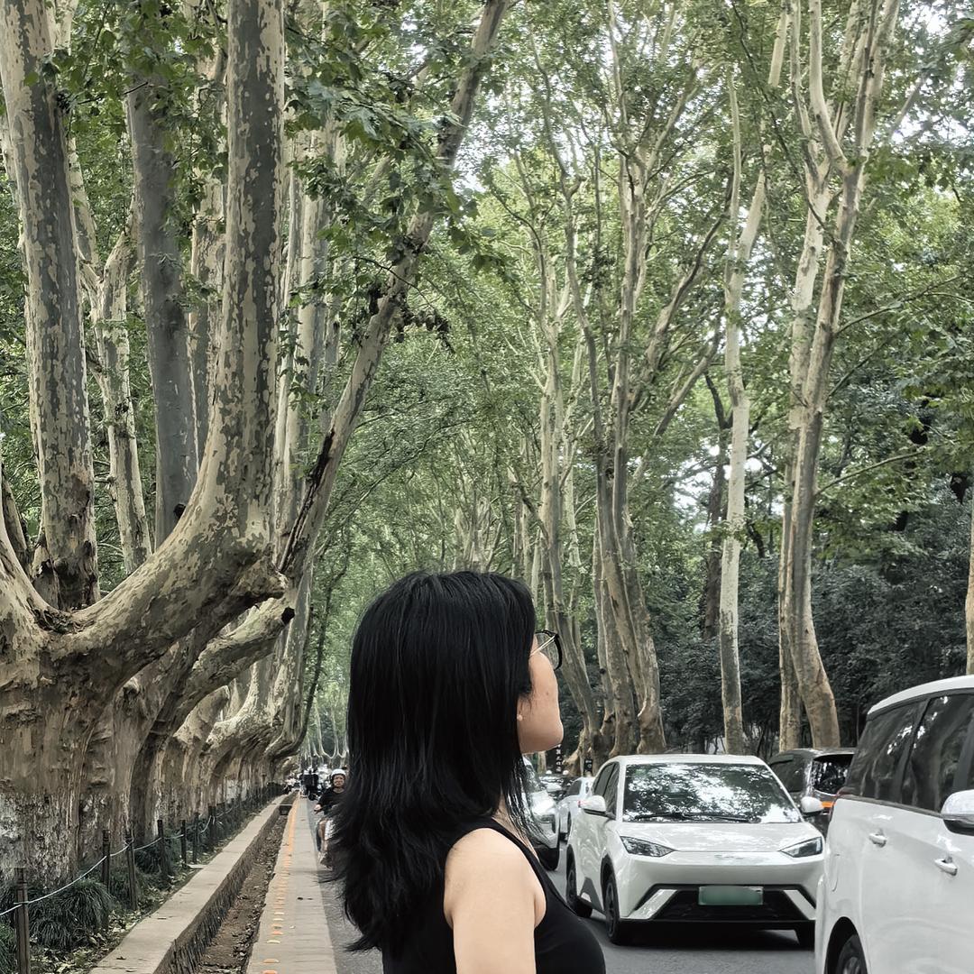 作曲竹.