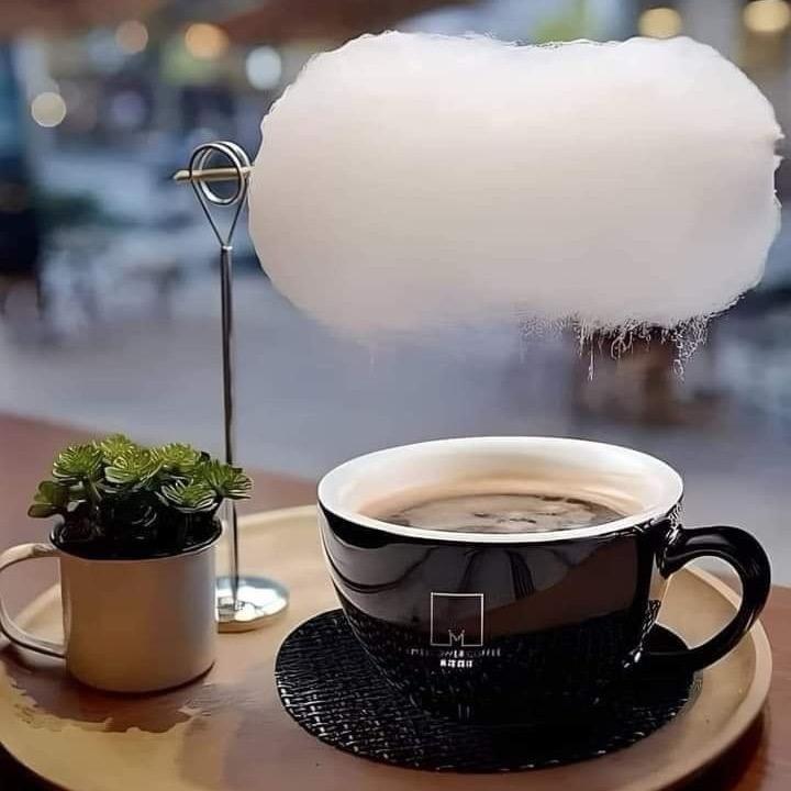 林柒的盛夏版图