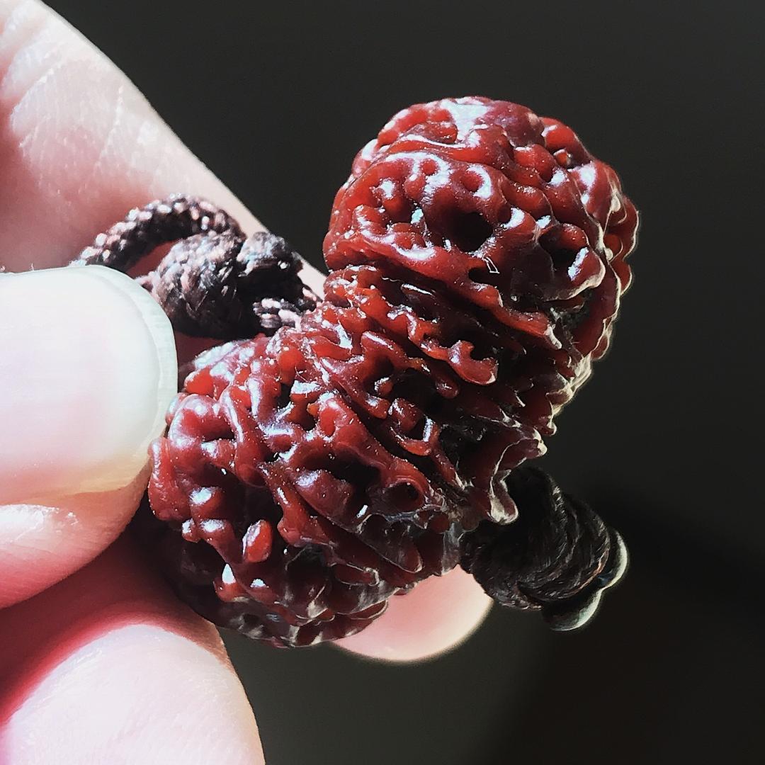 老王菩提直播间