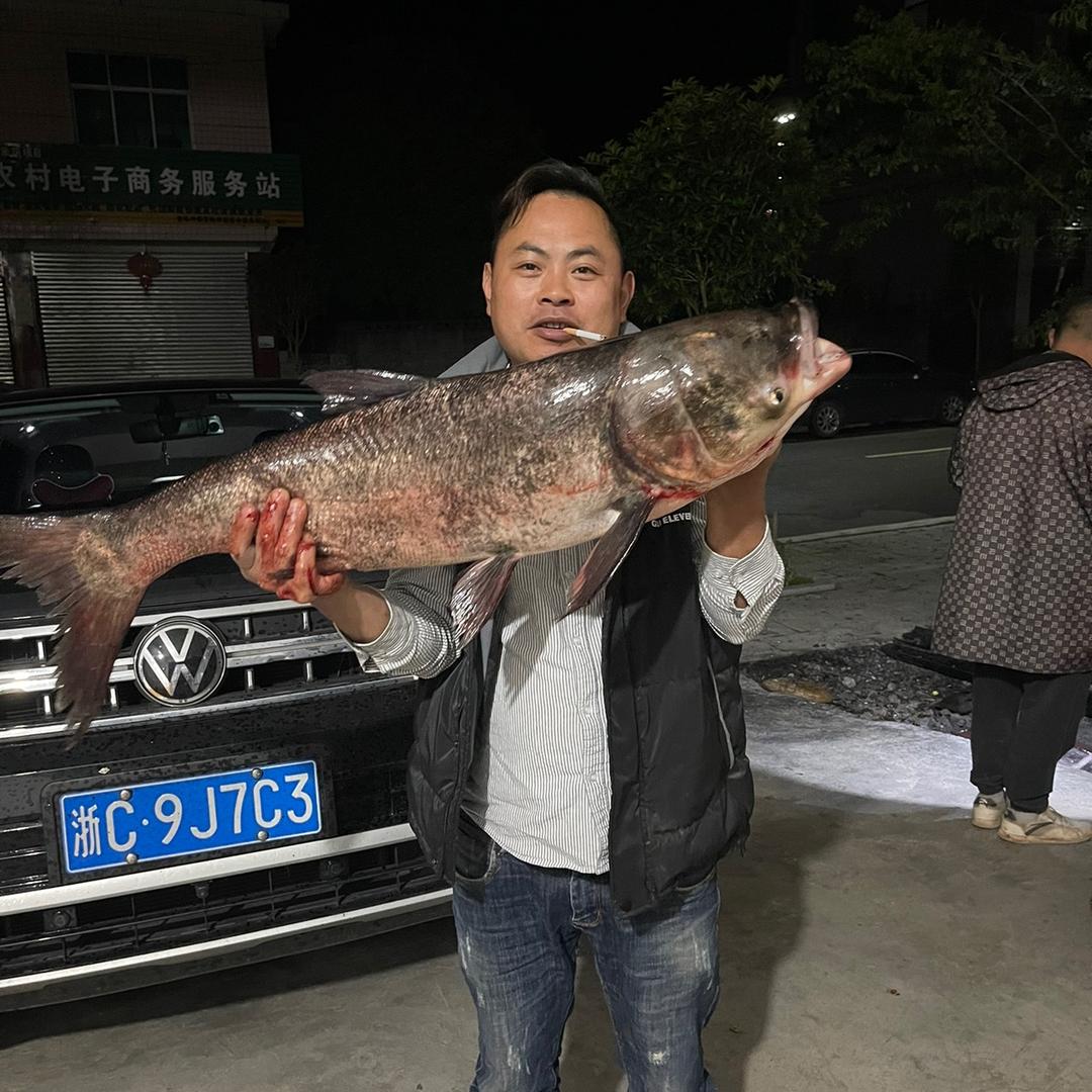 大天爱钓鱼（尊师升哥爱钓鱼）