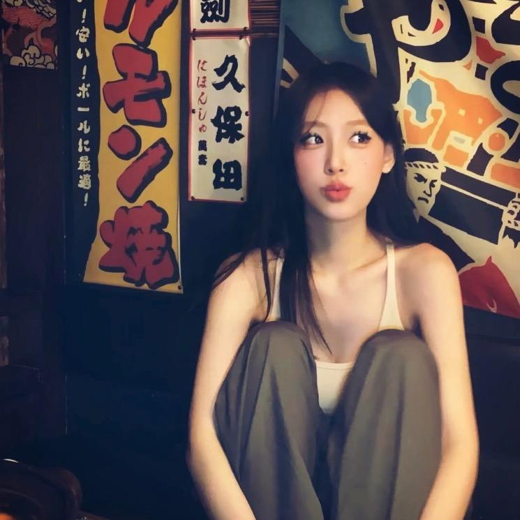 避风港🐍
