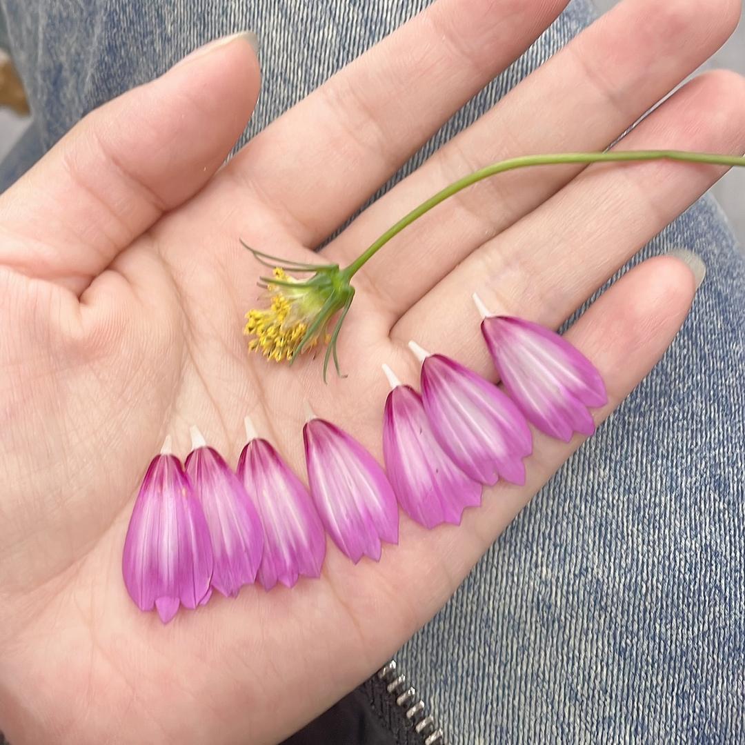 平凡人🥰