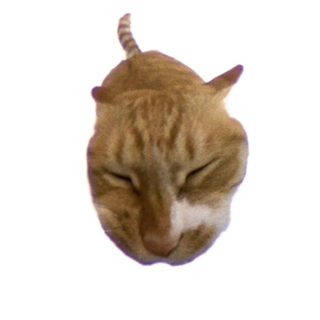 锶铌