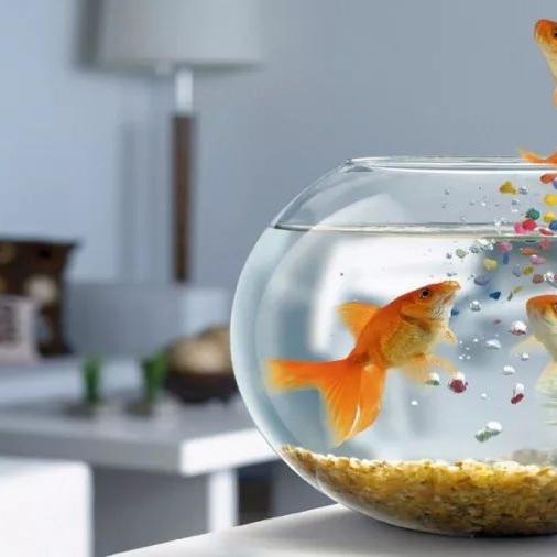 欢颂水族馆
