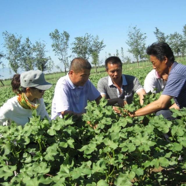 暖暖被-新疆棉被直销