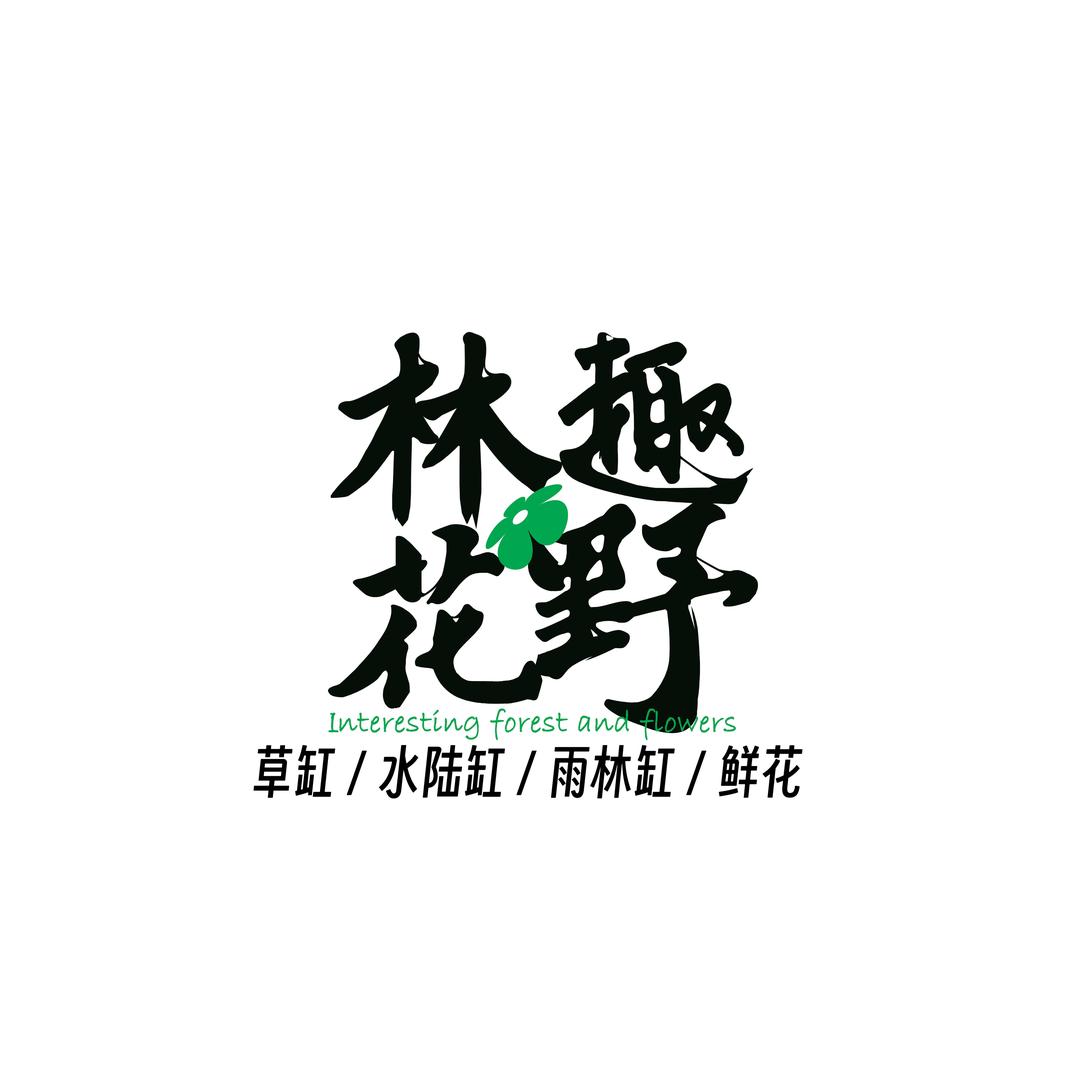 ｜林趣花野｜鱼缸造景-鲜花花束