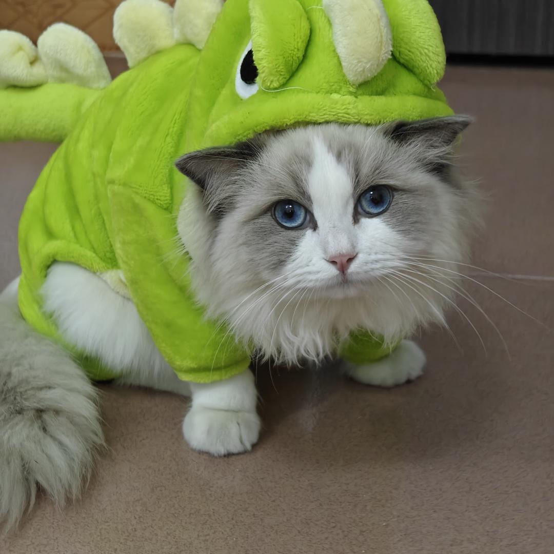 小笨笨《三角洲行动》