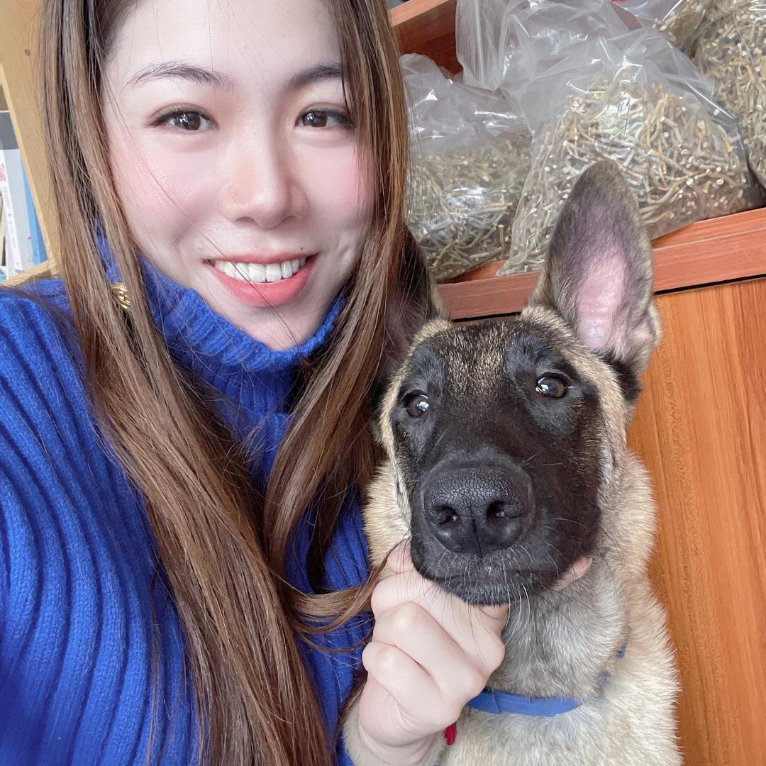 丽公子有一只神犬