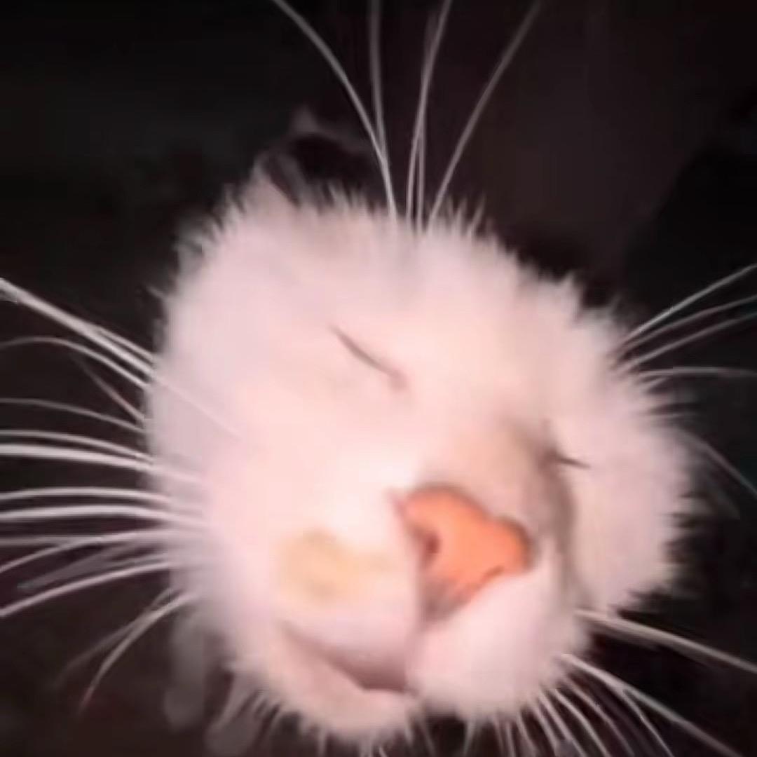 用户2498795
