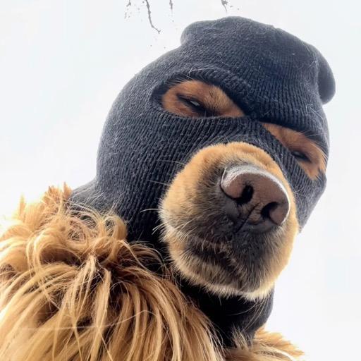 小陈同学的糯玉米