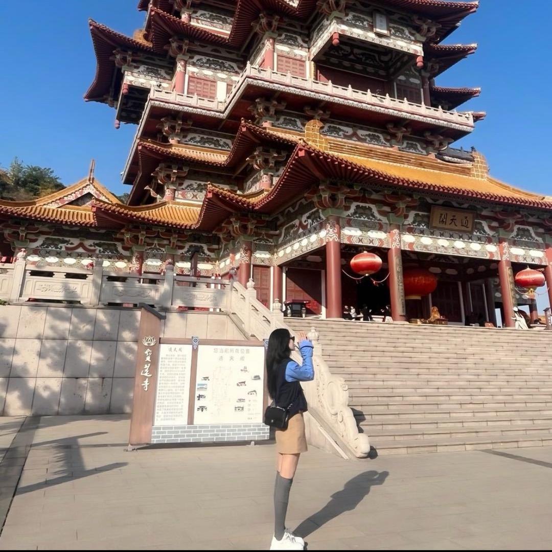 朱朱语录