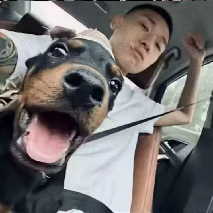 ㅤㅤㅤㅤㅤㅤ飛