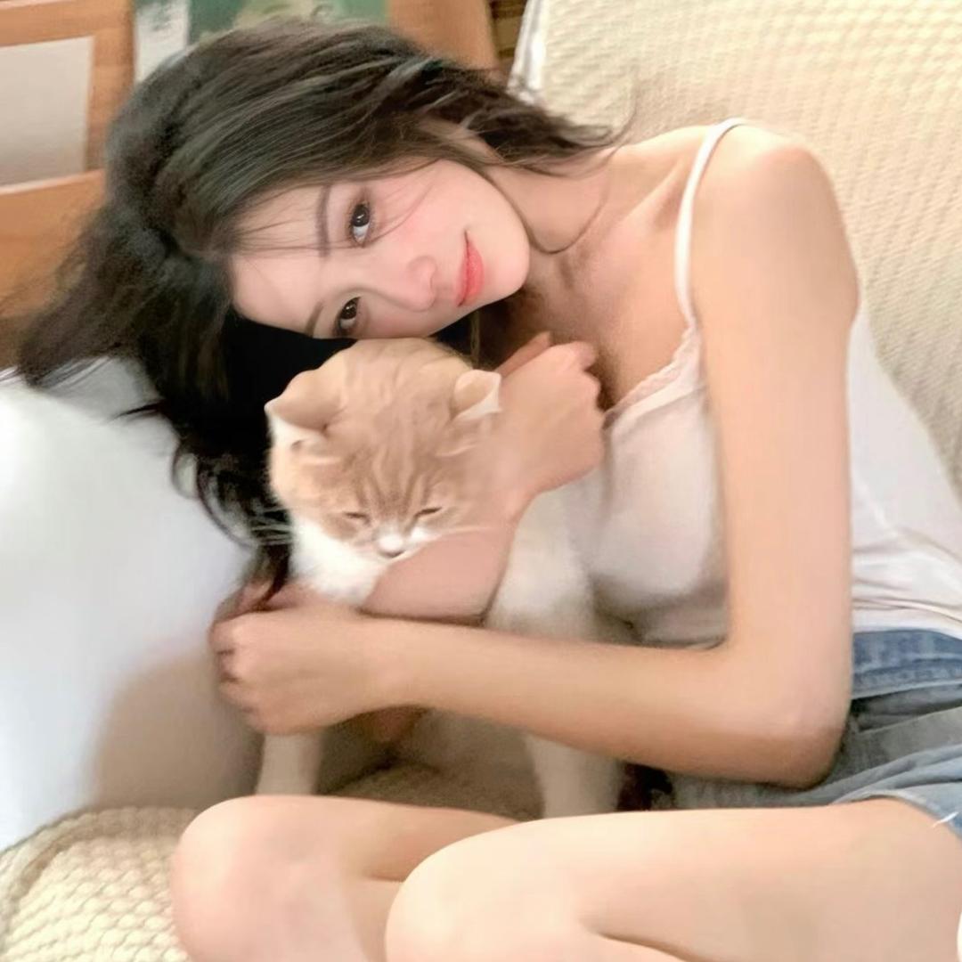 慧