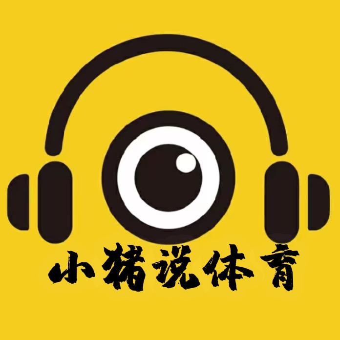 小猪说体育