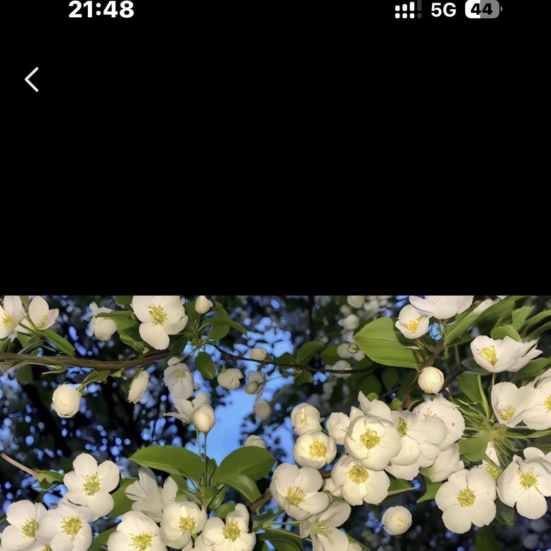 DIFSI潮流坊
