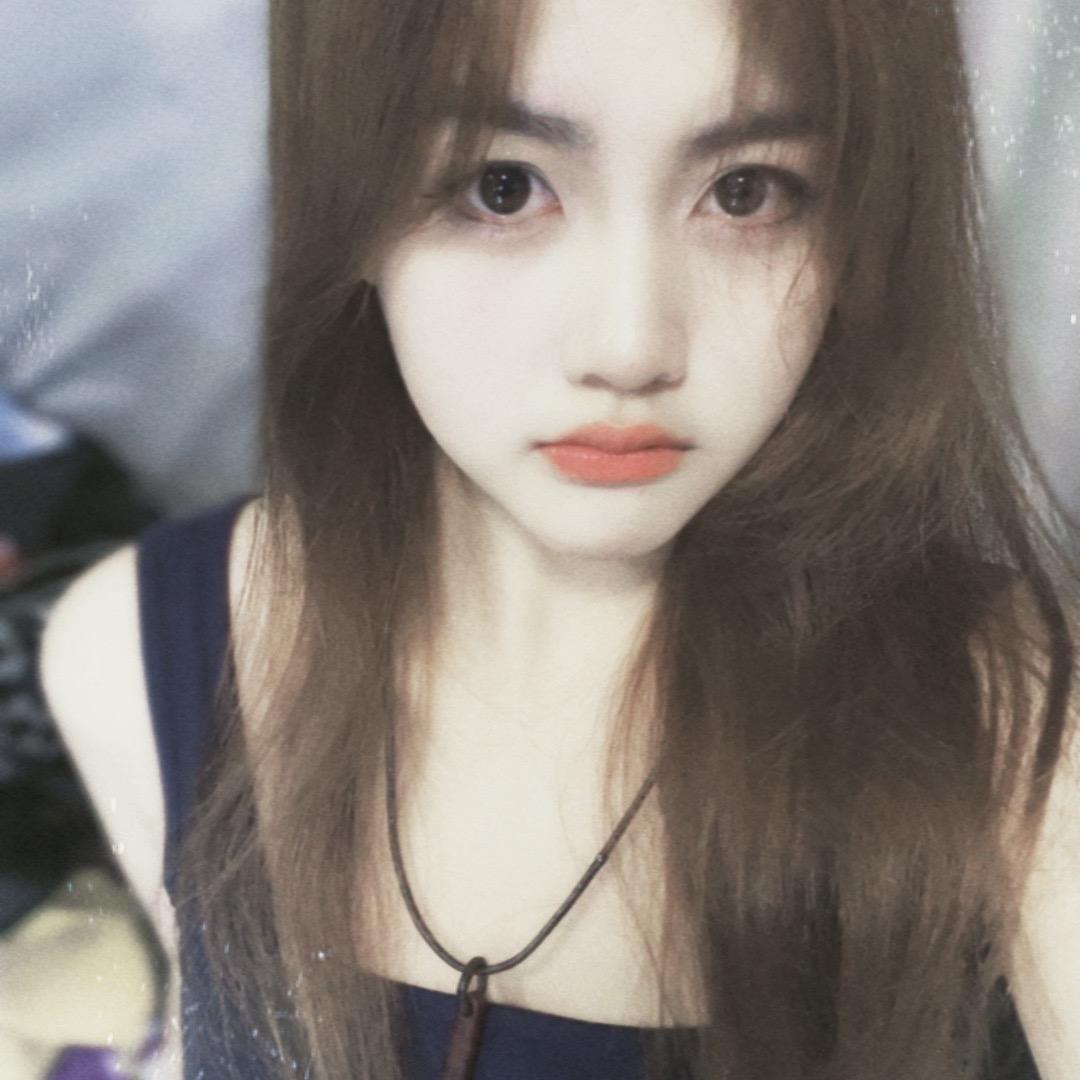 鲨鱼宝