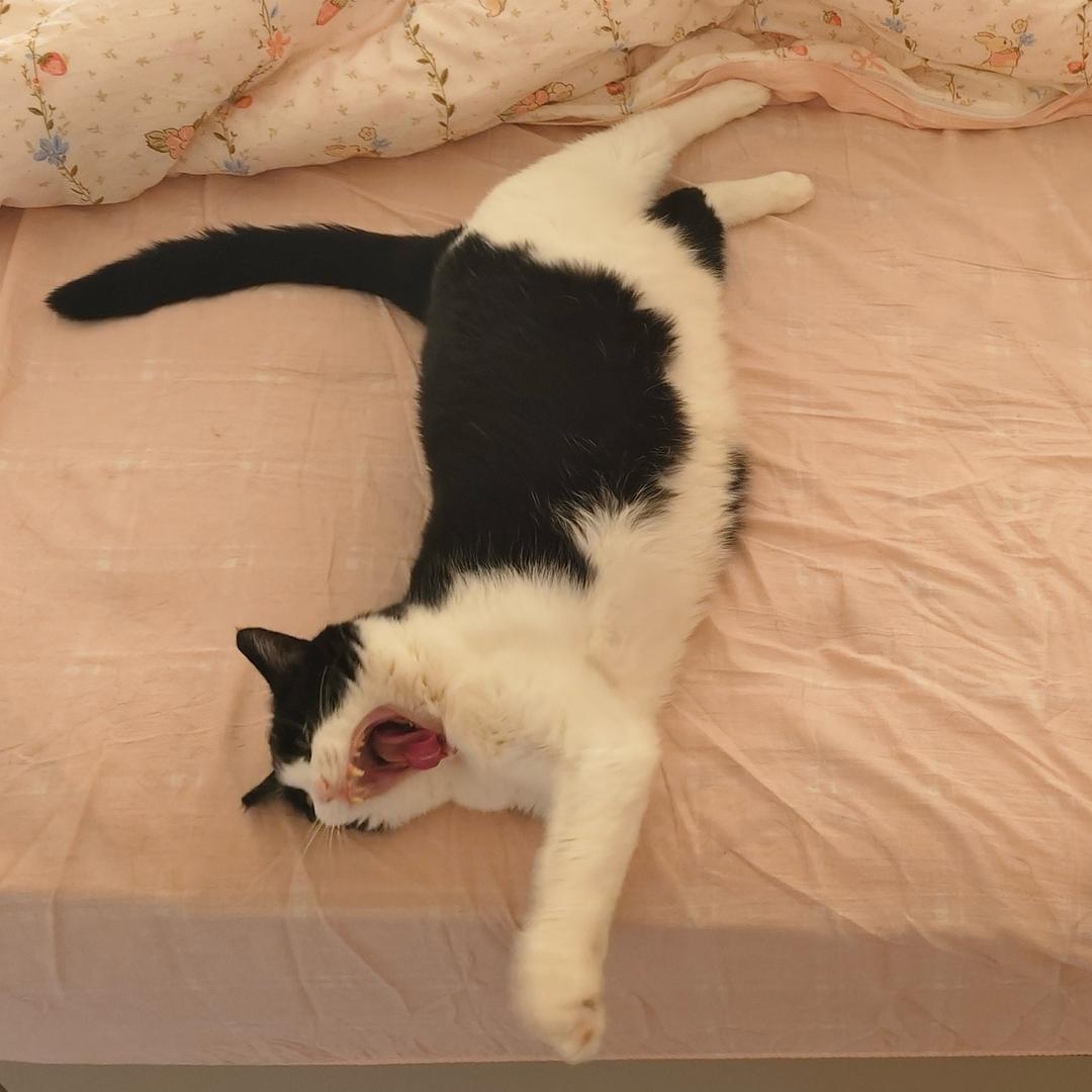 是小梁🦄