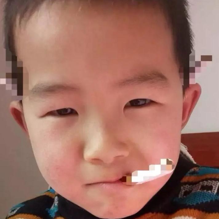 果果