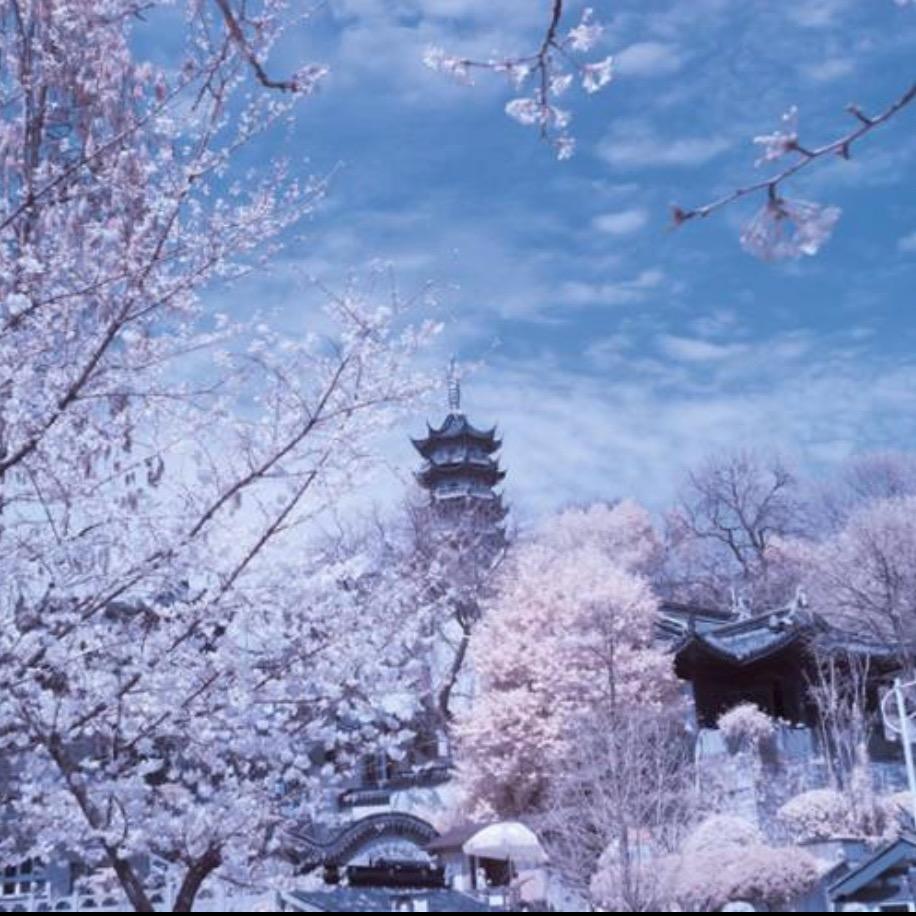 ¥花花姐