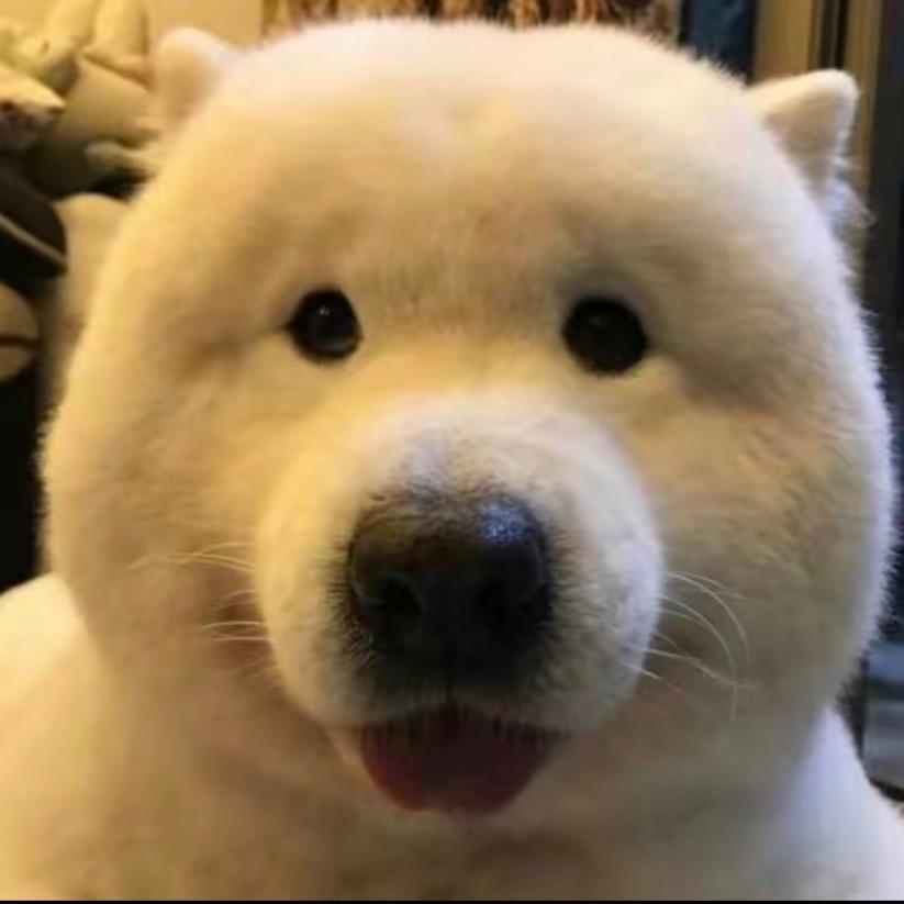 带你玩遍小游戏