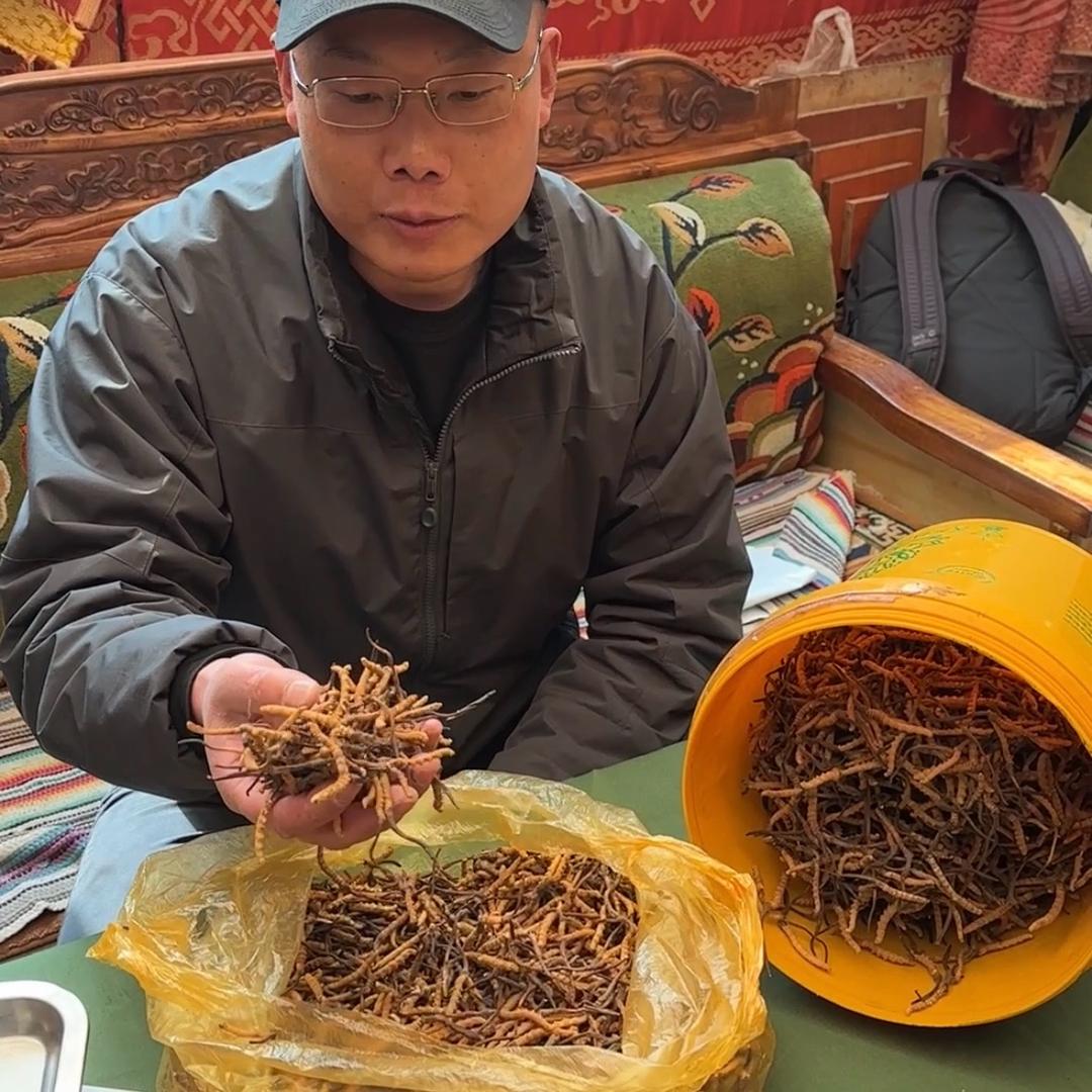 老张在那曲寻好草