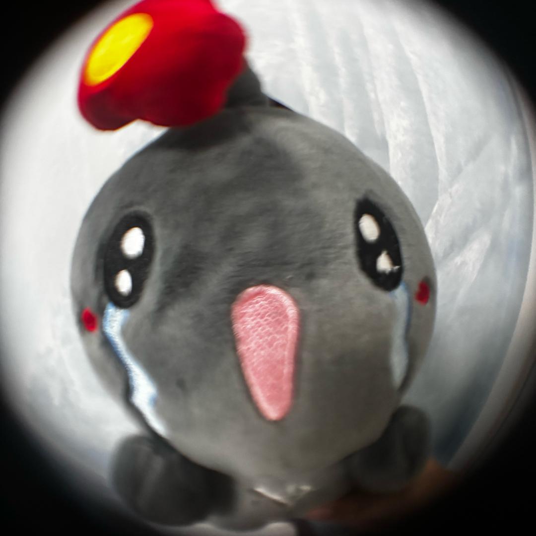 春日哈娜酱（七夕很幸福版