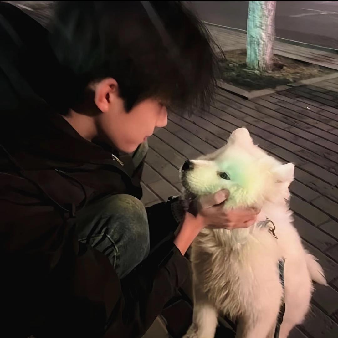 笨蛋总是流眼泪