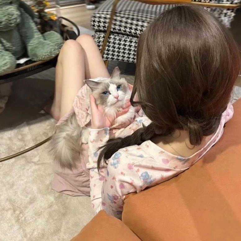 小熊酱